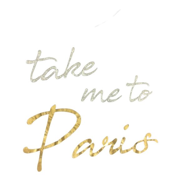 Lane Bryant Womens Graphic V-Neck T-Shirt Sz 26/28 Take Me To Paris Black Gold - Picture 6 of 9